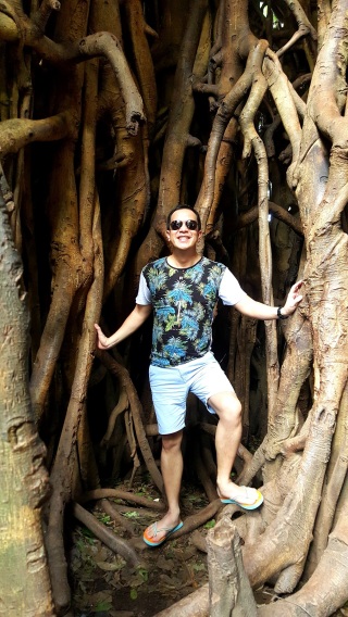super UGAT! "inside" the massive tree
